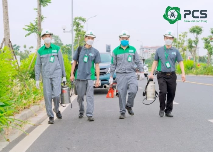 Lý do chọn dịch vụ diệt rắn chuyên nghiệp tại Đồng Nai?